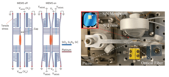 Screen Shot 2022-06-15 at 12.48.53 PM
